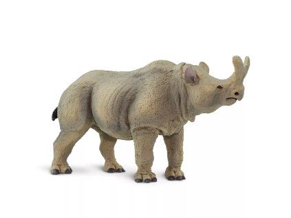 238026 megacerops