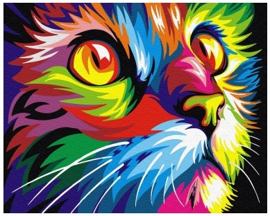 mamido Malování podle čísel Duhová kočka 40x50 cm