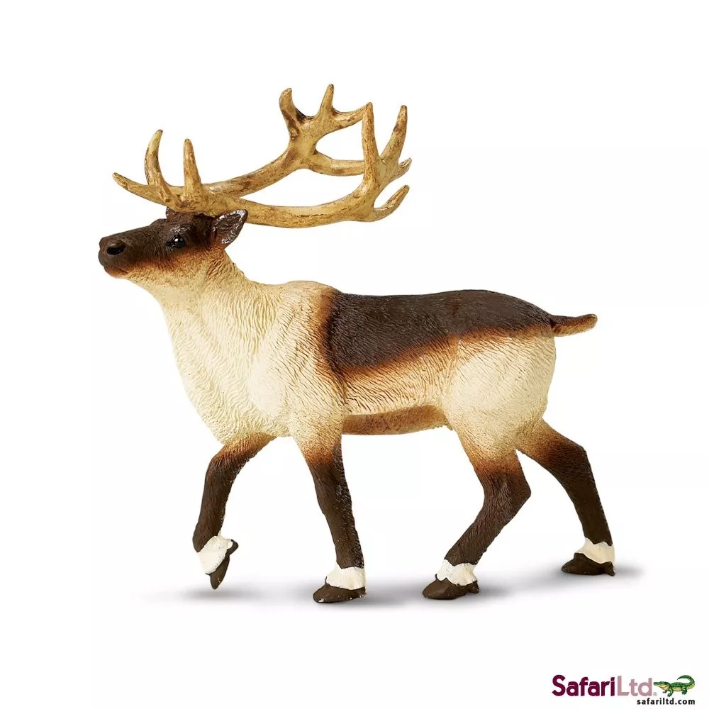 Safari Ltd. Safari Ltd. Sob