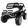 mercedes benz unimog (1)