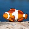 236124 2 rybka nemo