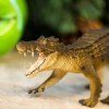 236307 2 kaprosuchus