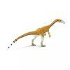 237717 coelophysis