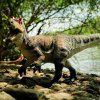 240456 5 allosaurus