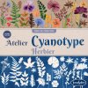 240984 2 kyanotypie herbarska dilna