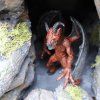 241173 2 jersey devil