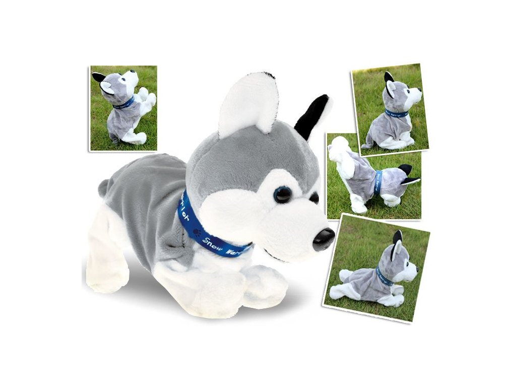 Interaktívny psík Husky