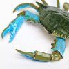 236226 3 modry krab