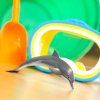 236709 2 delfin
