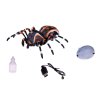 Realistická hračka pavúk na diaľkové ovládanie chodí a svieti