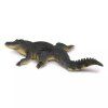 237723 2 aligator