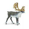 237750 2 sob polarni