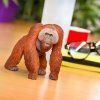 237039 1 orangutan