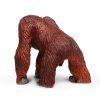 237039 6 orangutan
