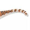 238263 5 malawisaurus