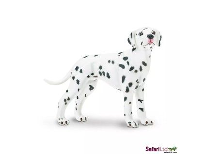 236685 dalmatin