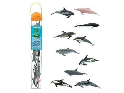 239424 tuba delfini