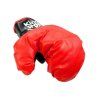 Velký boxerský set 4