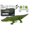 Crocodil RC plutind pe apă cu telecomandă