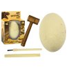 Kit de arheologie Dino Egg - Excavare de fosile cu instrumente