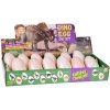 Set arheologic de 12 ouă mari cu carduri Descoperă lumea dinozaurilor
