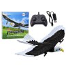 Avion Eagle cu telecomandă de 2,4 GHz