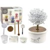 Arborele magic care crește cristalul argint