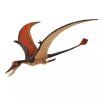 236295 1 ramphorhynchus