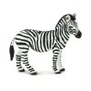 236427 zebra