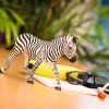 238110 1 zebra