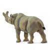 238026 5 megacerops