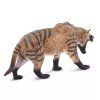 238248 5 hyaenodon gigas