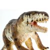 238362 2 prestosuchus