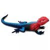 240423 agama plochohlava mwanza