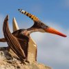 240462 1 pteranodon