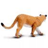 240648 3 puma americka