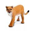 240648 6 puma americka