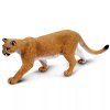 240648 puma americka