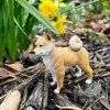 241386 1 shiba inu