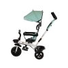 Tricicleta pentru copii cu baldachin PRO200 menta