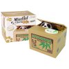 Panda Treasure Box Învățând despre salvarea bambusului