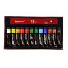 Set de vopsele acrilice intr-un tub de 12 bucati