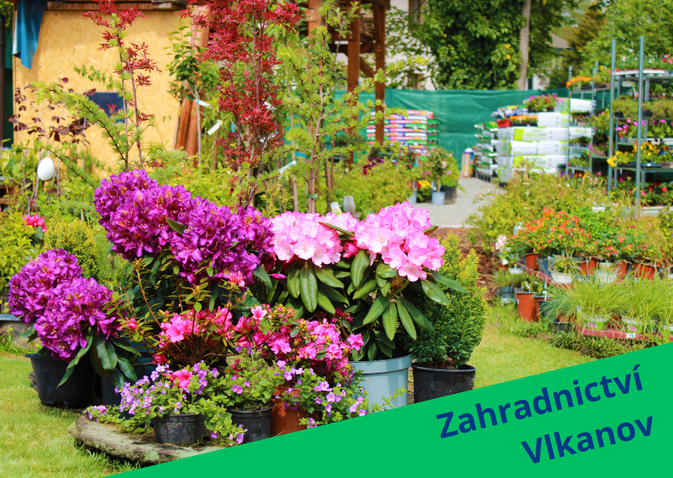 Zahrada