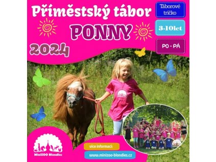 2024 tabor pony