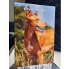 2 euro Malta 2026 - Pharaoh Hound (BU coincard)