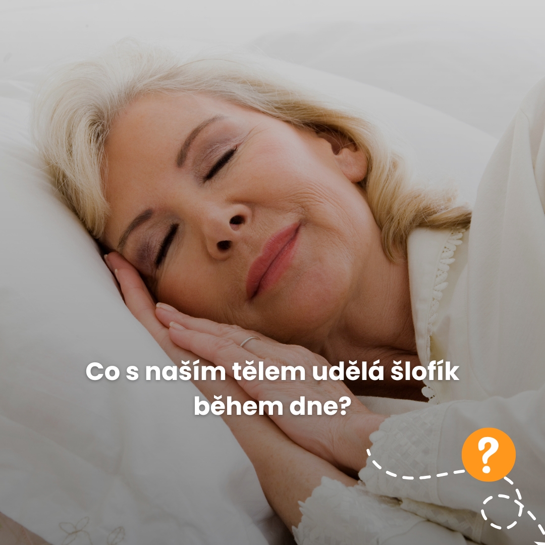 Co s naším tělem udělá šlofík během dne?
