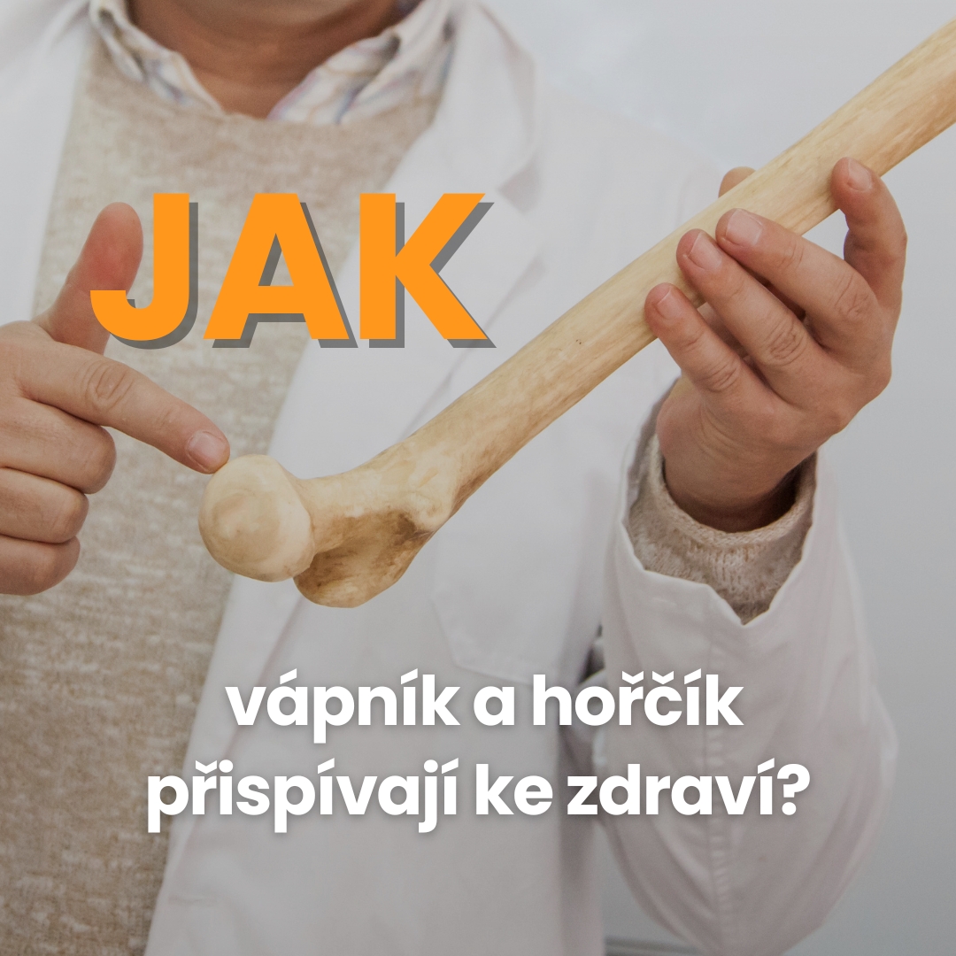 Jak vápník a hořčík přispívají ke zdraví?