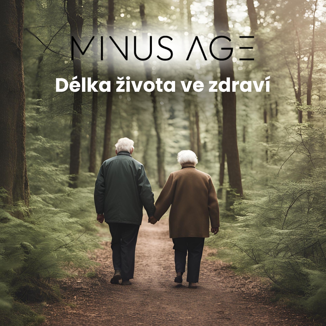 Délka života ve zdraví