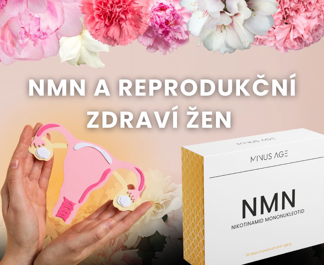 NMN a reprodukční zdraví žen