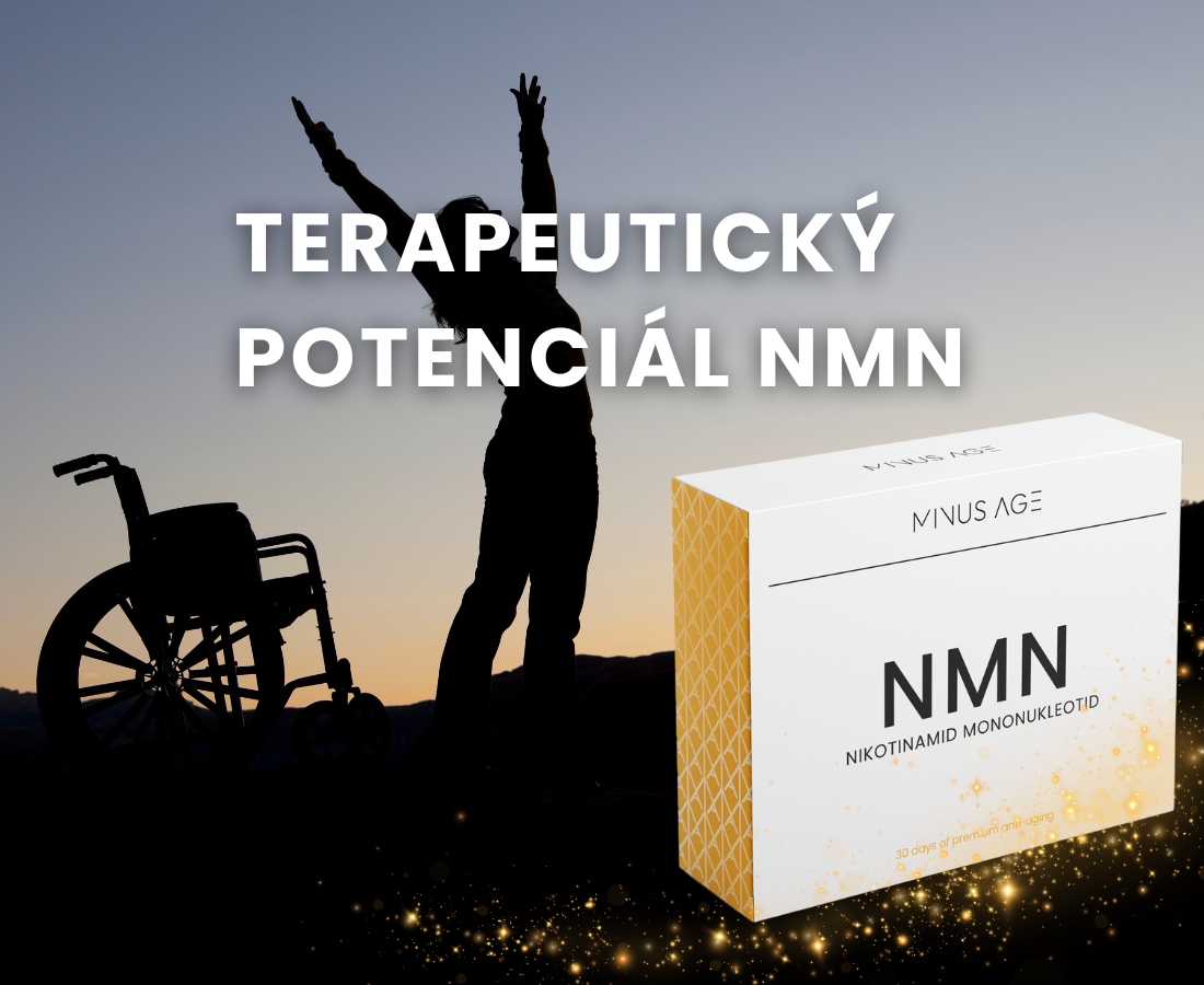 Terapeutický potenciál NMN a NR